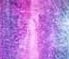 Chameleon Color Shift Series