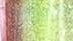 Chameleon Color Shift Series