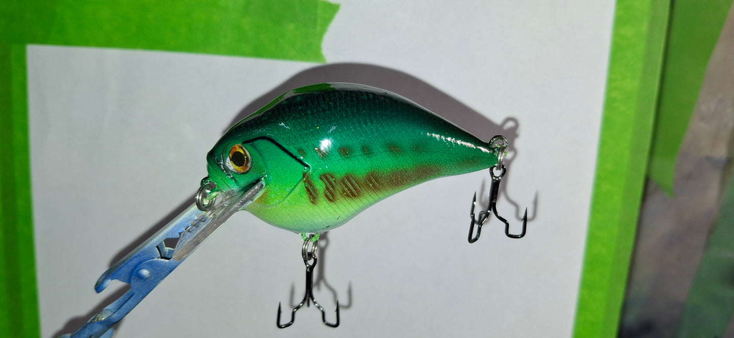 Crankbaits & Jerkbaits